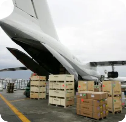 storege